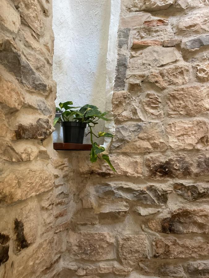 Place Aux Herbes Apartment Nimes Bagian luar foto